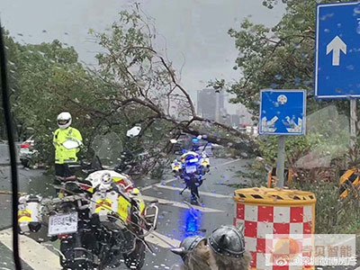 監控顯示交警連夜清理路面